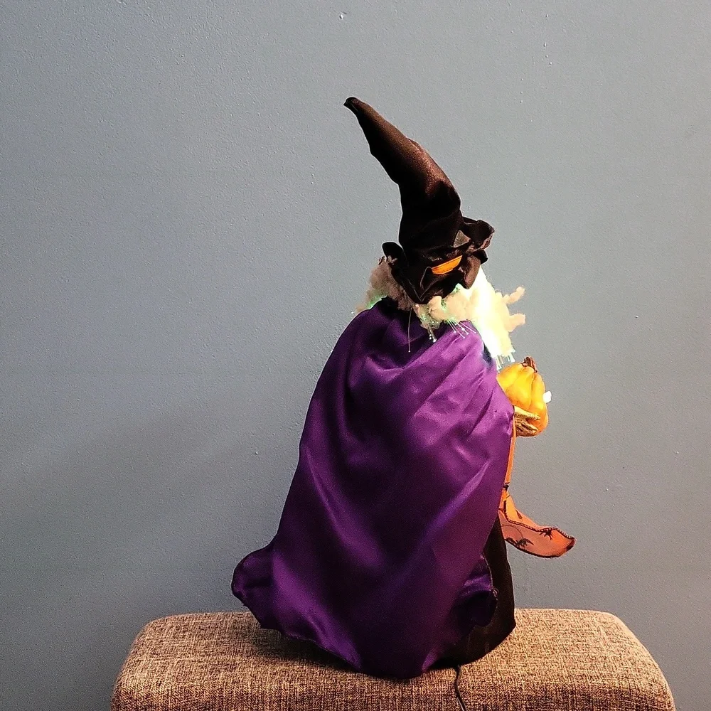 Fiber optic light up Witch Halloween decor